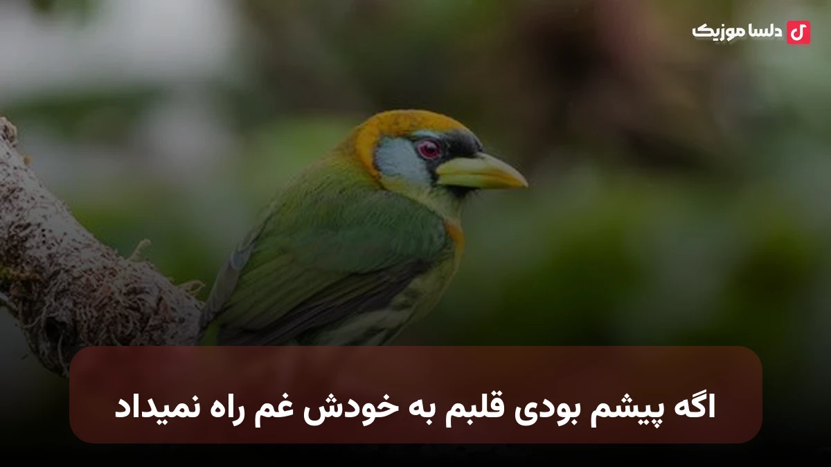 اگه پیشم بودی قلبم به خودش غم راه نمیداد صدای زن